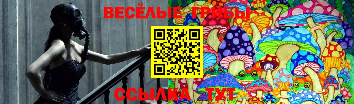 Донецк  Псилоцибиновые грибы ЛСД  Галлюциногенные грибы Psilocybine cubensis  Вход с VPN 